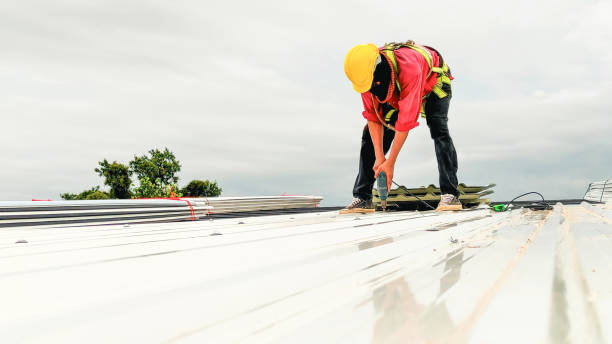 Best Asphalt Shingle Roofing  in Clio, AL